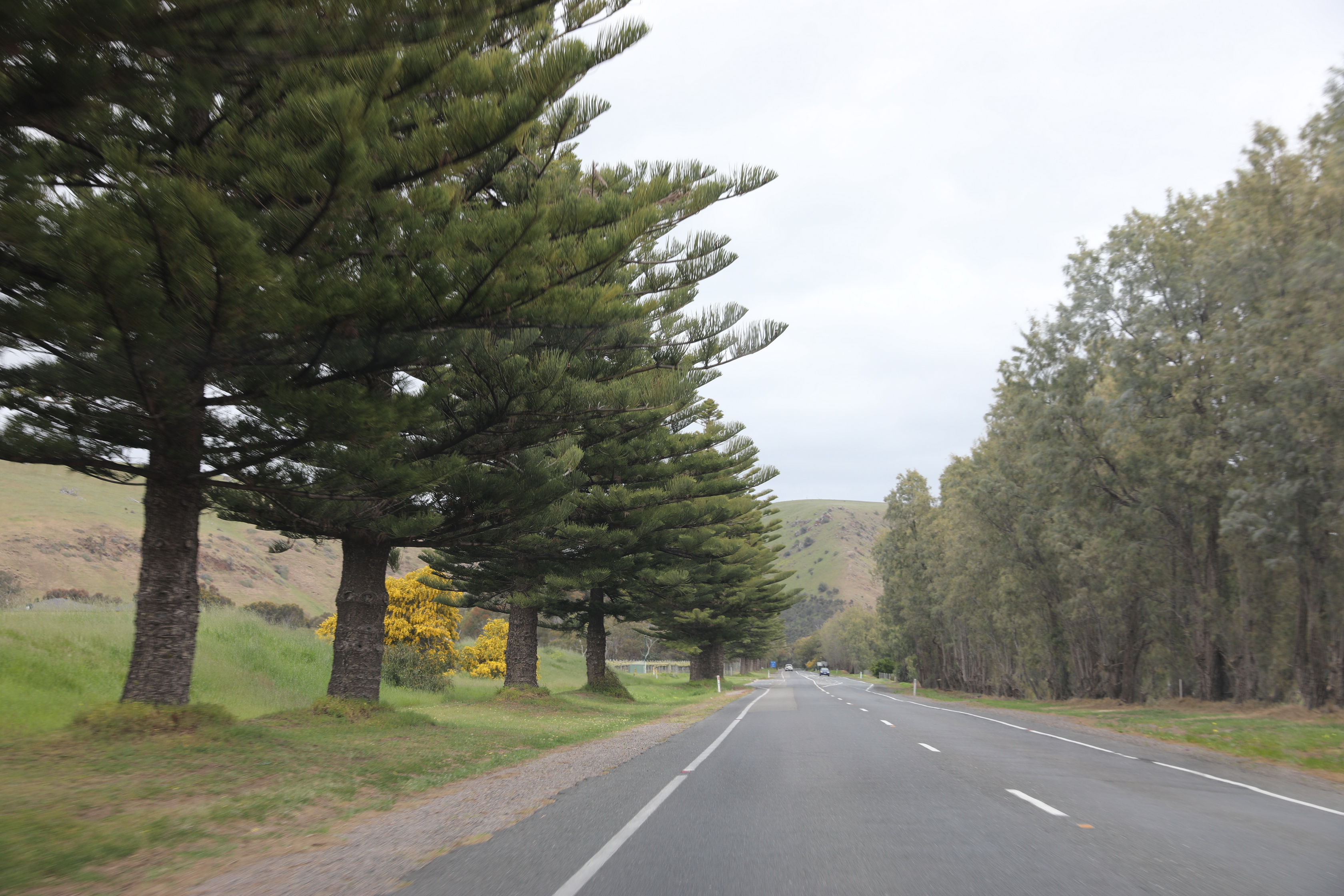 2019 09 28 12 59 38 Canon EOS 5D Mark IV 0007